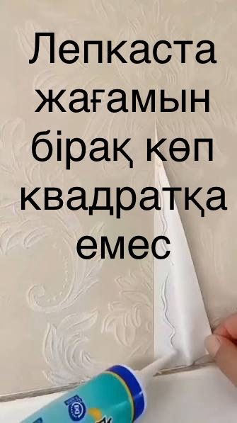 Евро ремонт лепкас жағу