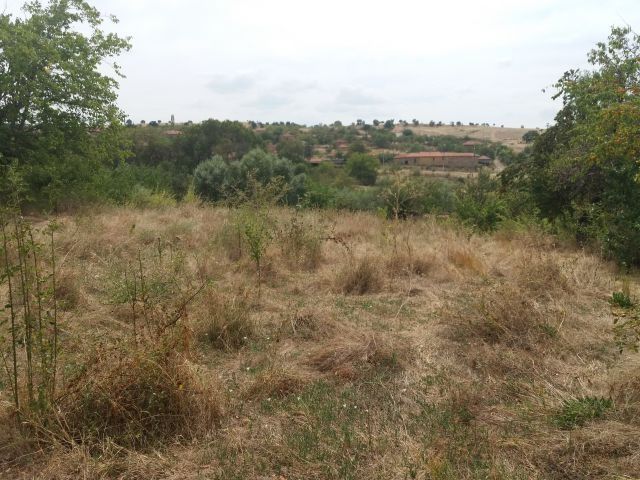 Продава се Къща в с. Черепово, Област Хасково - 100 кв.м за 100 €/кв.м - Снимка #5