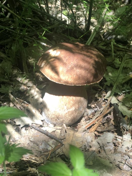 Продава се Къща в Ловеч, Център - 120 кв.м за 510 €/кв.м - Снимка #15