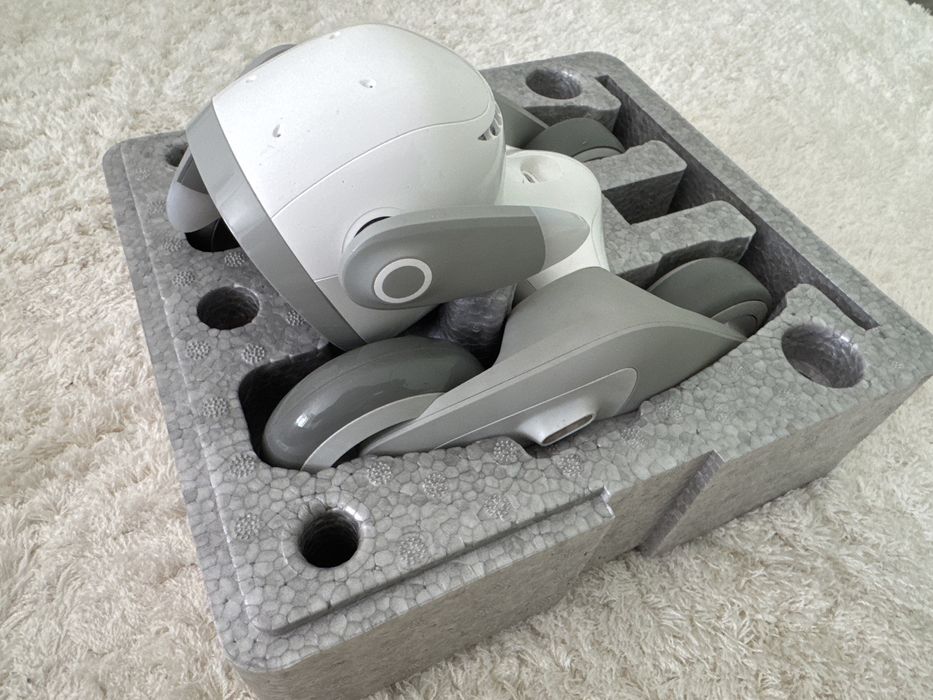 Loona robot сабачка