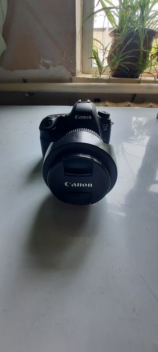 6D sotiladi holati zo'r