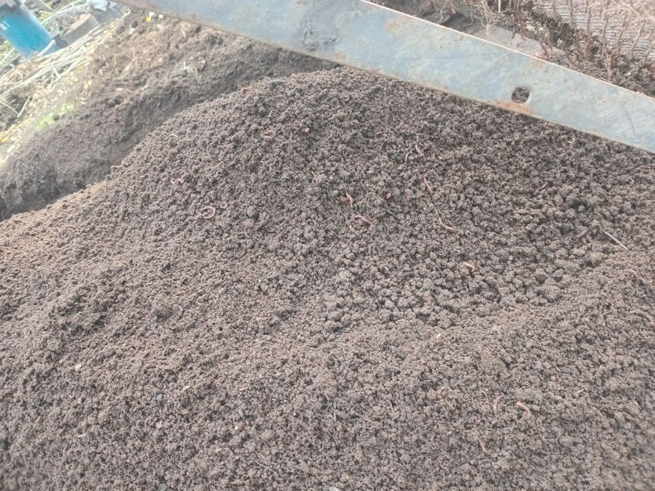 Biogumus sotaman sifati alo darajada