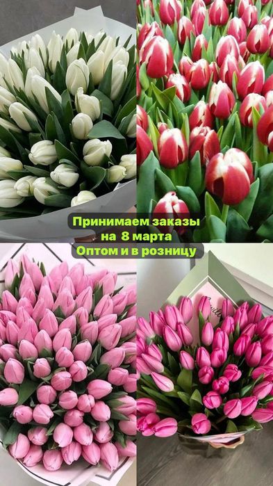 Тюльпан букеты гүлдер