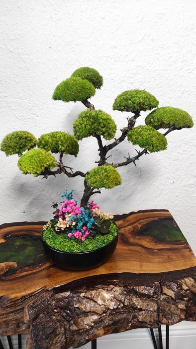 Бонсай със скандинавски мъх и стабилизирани растения!