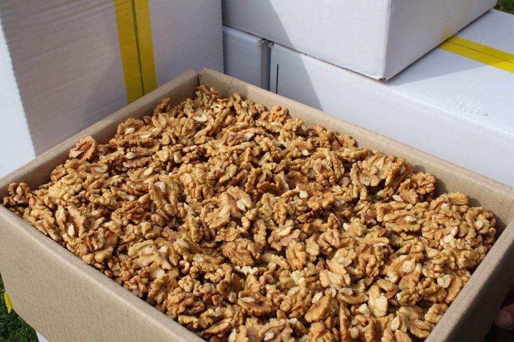 Vând miez de nuca  2025 ,selectata