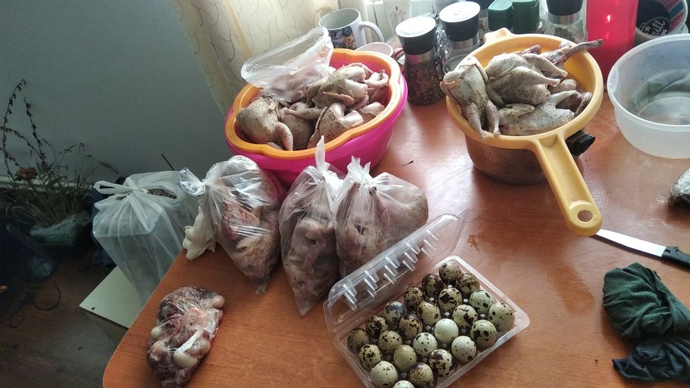 Ouă proaspete de prepeliță și carne de prepeliță