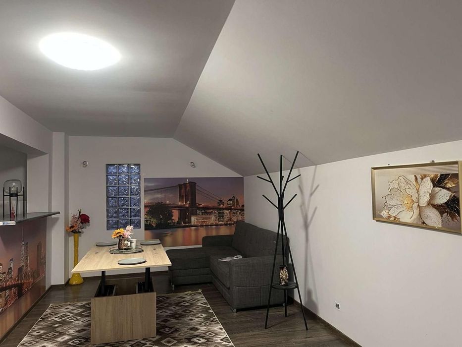 Camere de inchiriat lunar