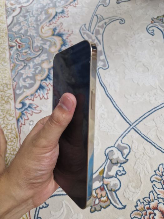 Iphone 12 PRO MAX