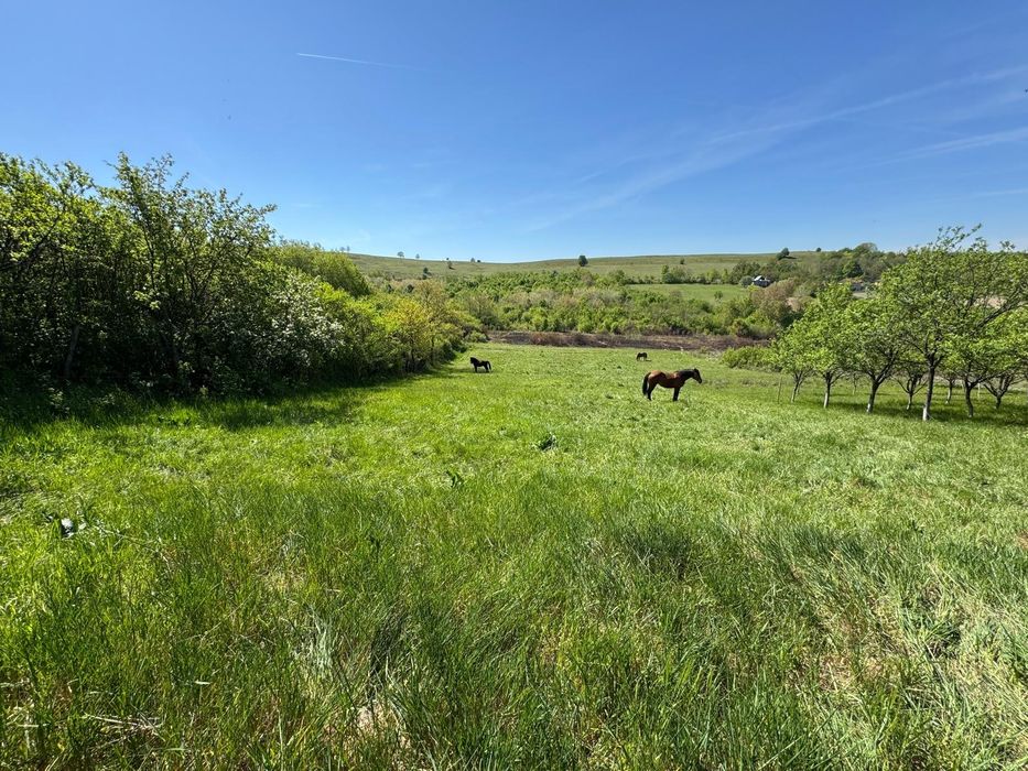 Casă de vânzare în Sumugiu