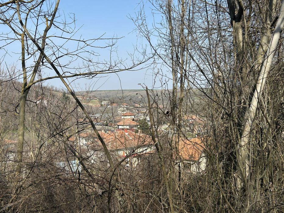 Продава се Парцел в с. Калипетрово, Област Силистра - 4680 кв.м за 1 €/кв.м - Снимка #4