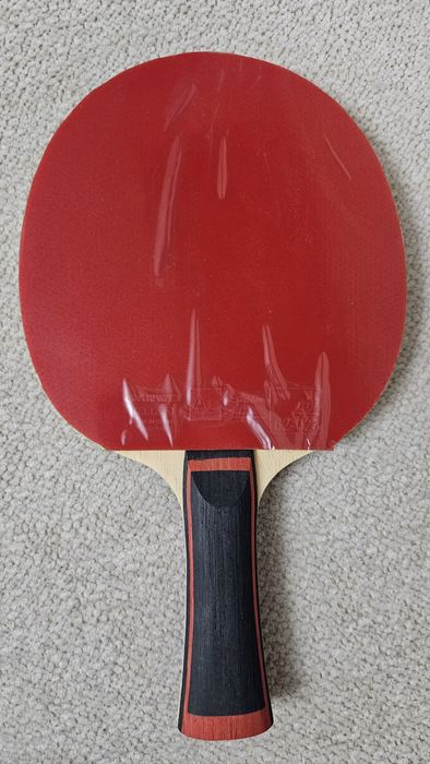 Paleta tenis de masa ping pong