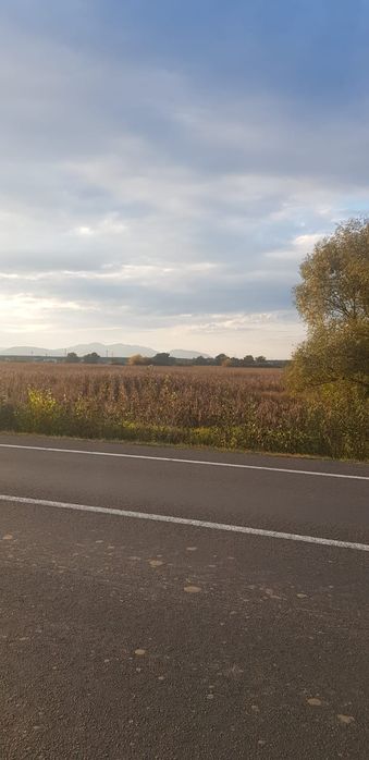 Vand urgent Teren DN Simeria -Hateg(Spate la Petrom) !!!