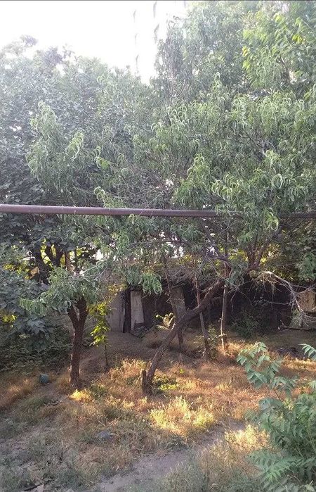 11 соток вдоль дороги Янги Узбекистан