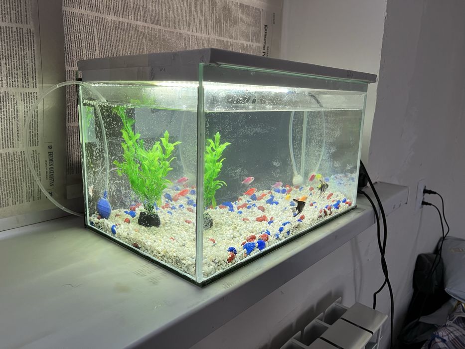 аквариум с рыбками 20л все в комплекте.