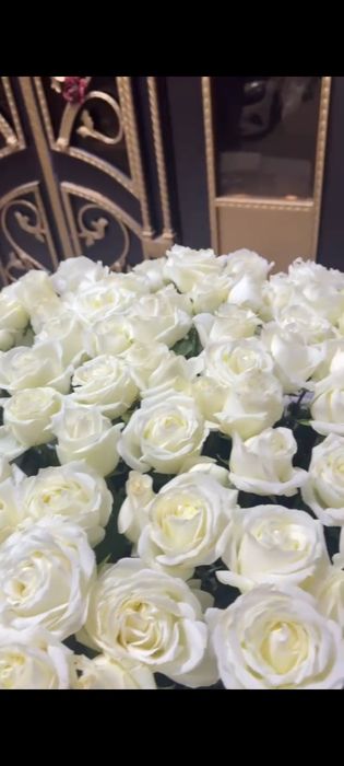 Гүл белыи роза 25000