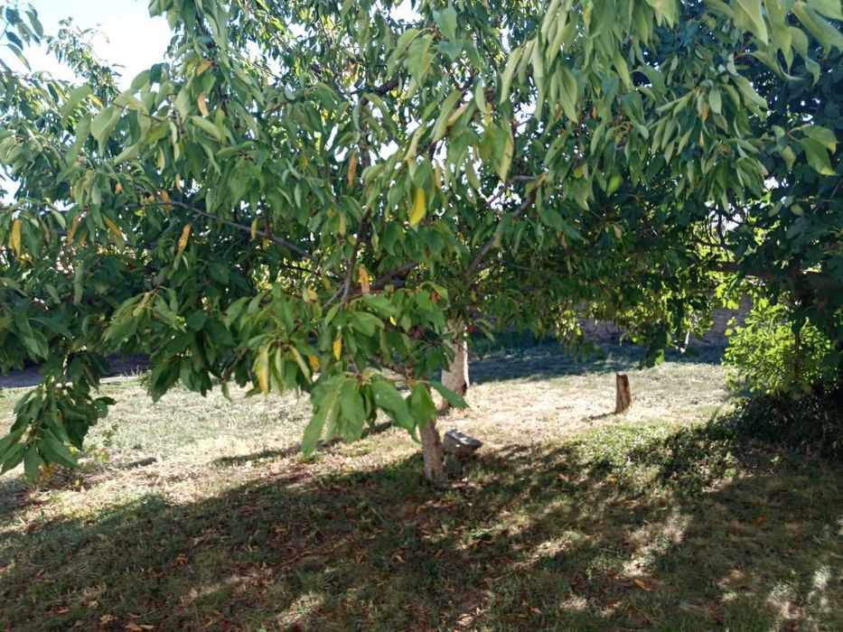 Дава се под наем Къща в Казанлък - 90 кв.м за 255 € - Снимка #3