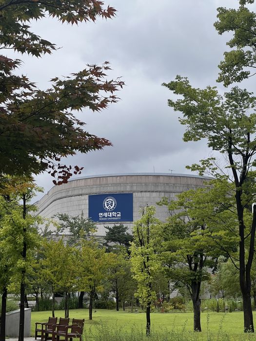 Репетитор Корейского языка