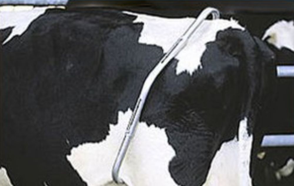 Антибрик для Крс