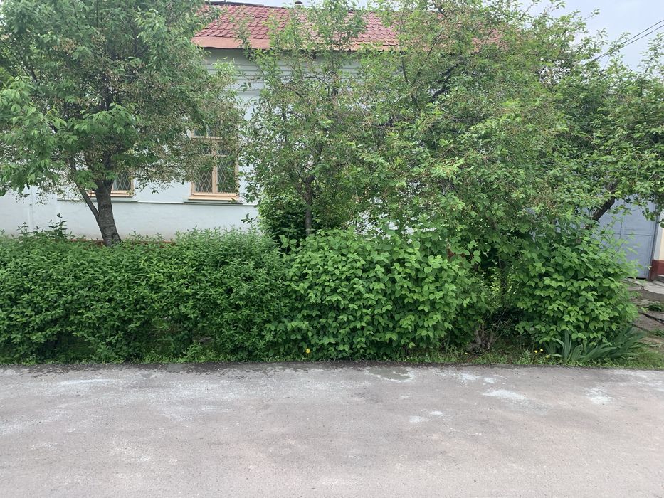 Продам участо 6 соток мирзоулугбекский район ориентир городской ОВИР