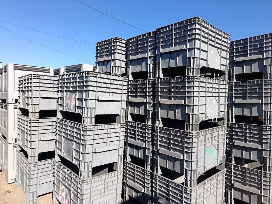 Cuva - Lăzi alimentare - Boxpaleti - Box palet - Container