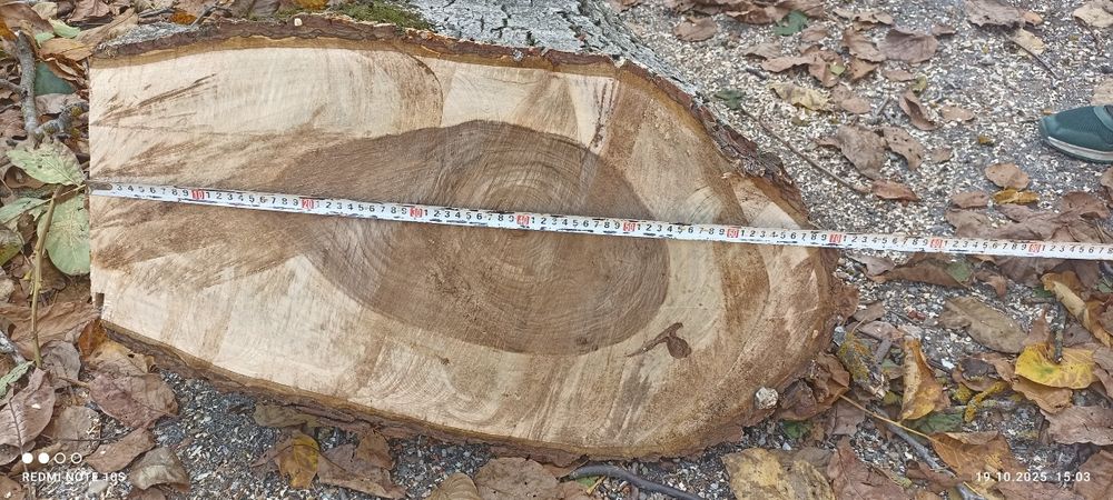 Орехов материал  .