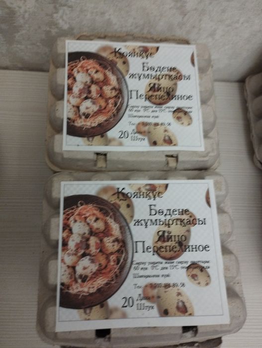 Бөдене (перепилинное) жұмыртқасы