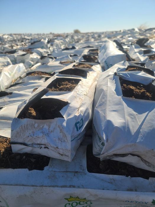 Gidroponika kakosi bor ishlatilgan narxi 3500 so‘m