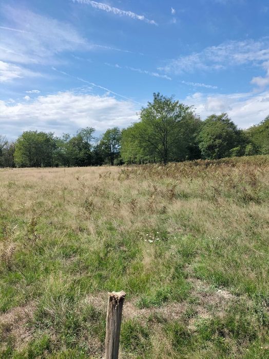 Teren de vanzare Runcu Gorj