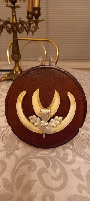 Немски трофеи диво прасе, документ, трофей