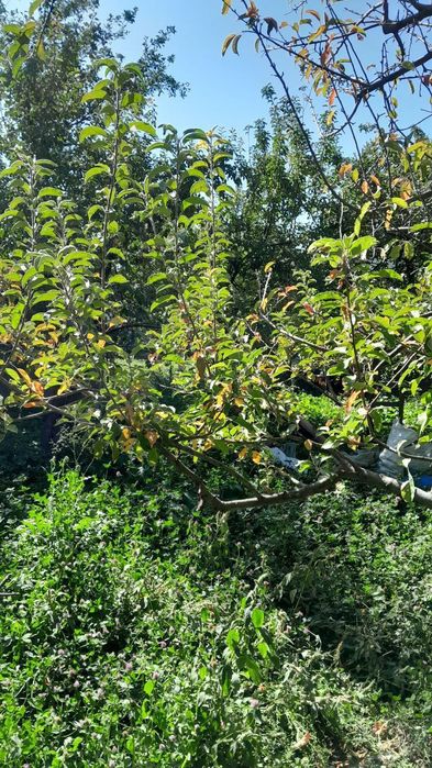 Дача Нанайда пустой йер