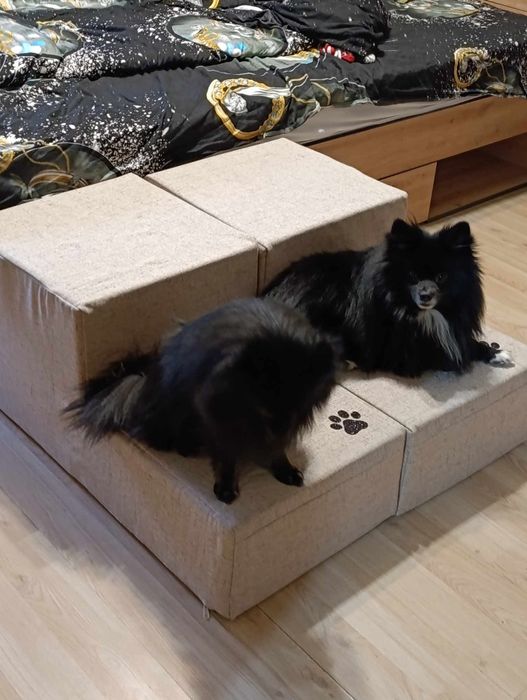 Продава стълби за френчита