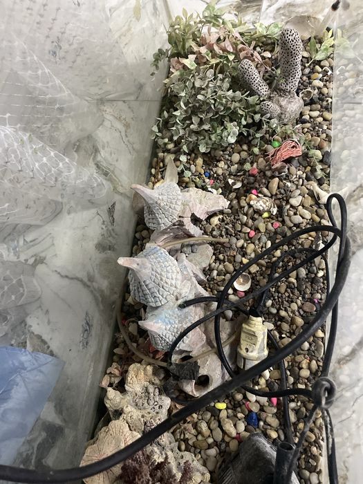 Аквариум для рыб