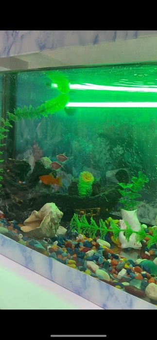 Аквариум сатылады