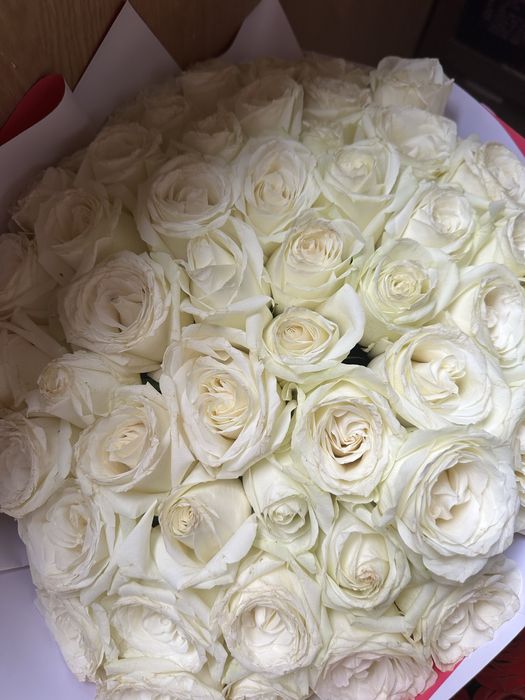 Срочно продаю букет из роз 51 штука