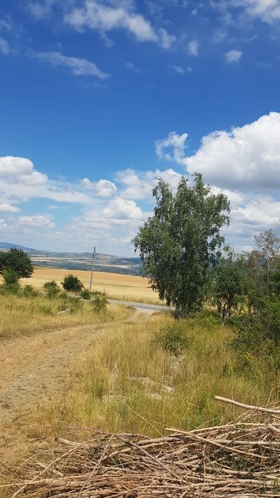 Продава се Парцел в Сапарева баня - 1300 кв.м за 16 €/кв.м - Снимка #1