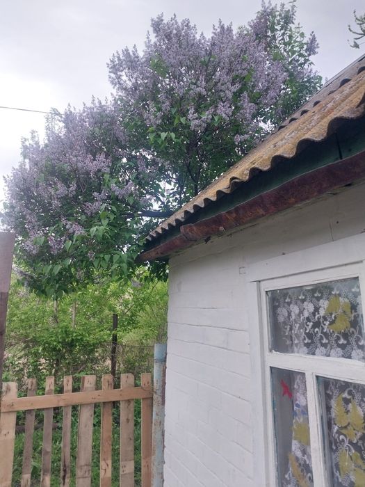 Продам дачу с домиком