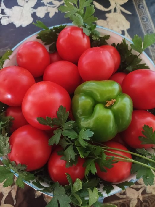 Продам помидоры дачные Сатпаев