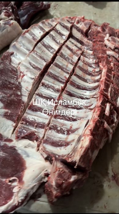 Қой еті баранина мясо