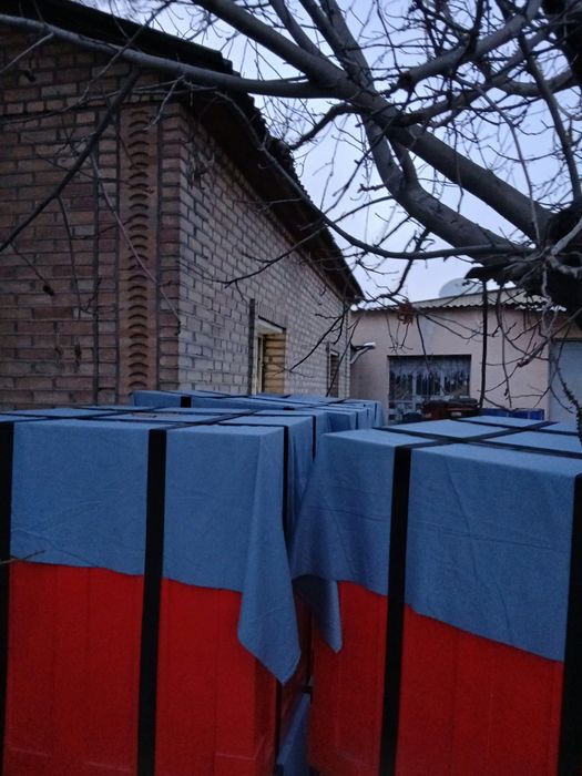 Kampitor honalrga  dekaratsiya drop sotilad