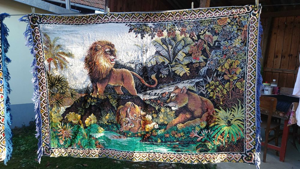 carpeta cu familia de lei