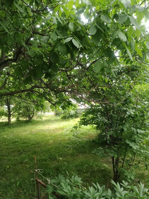 Продается дом в тургене