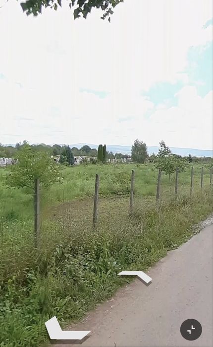 De vânzare: livadă de nuci, grādinā. 140 de pomi du nuc