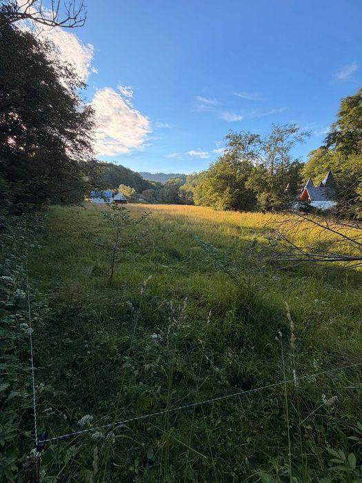TEREN INTRAVILAN - Valea Vinului - Viseu de Sus - 25.8 ARI
