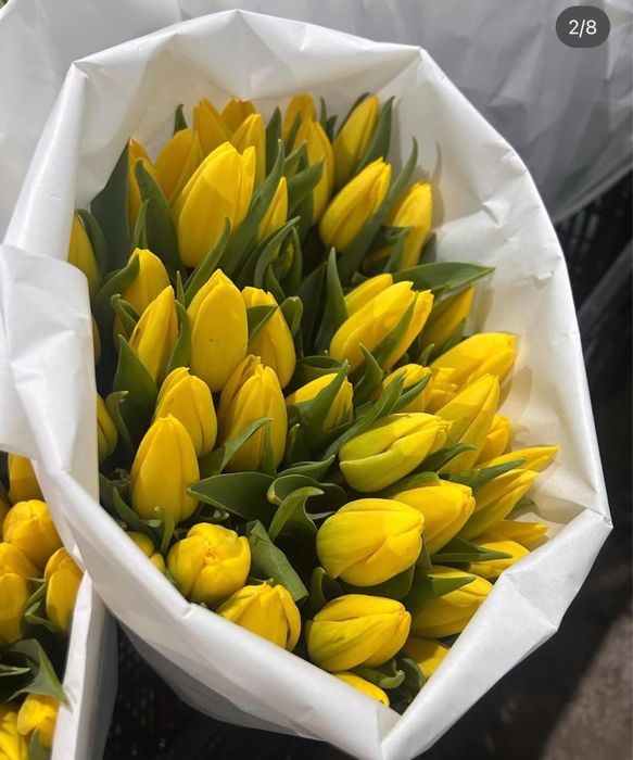 Тюльпан цветы Алматы 8 марта. Роза цветы.