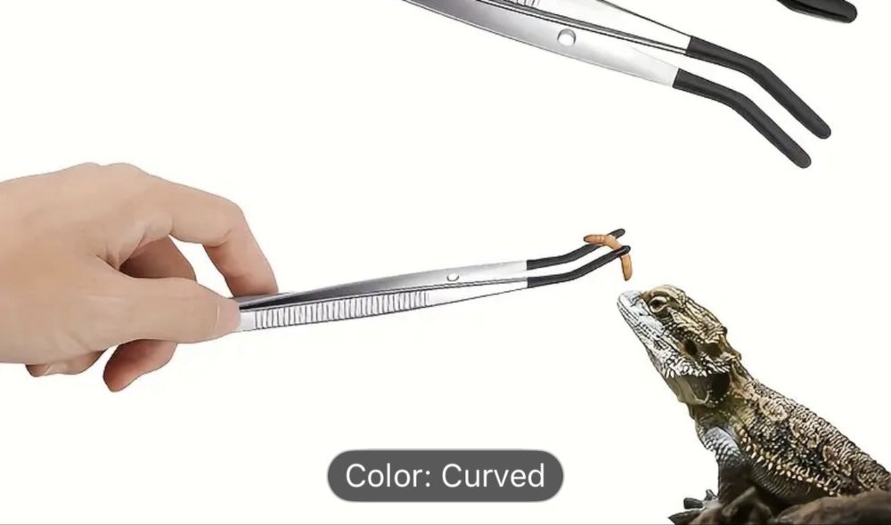 Accesorii terariu NOI