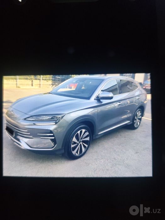 Byd chempiongibrid