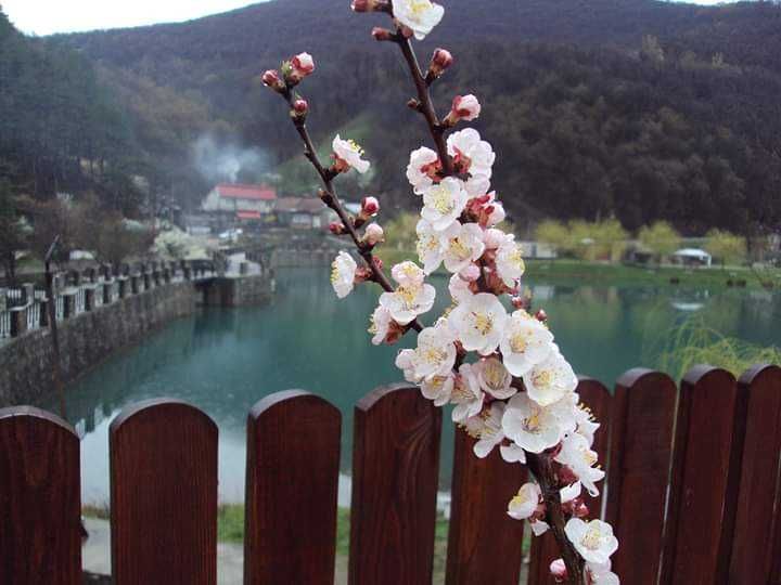 Casă de vânzare Lacul Mare Oravița