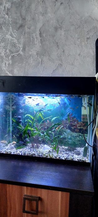Продам аквариумы  120л, и 30л