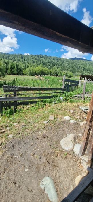 Участок с домом продажа или обмен