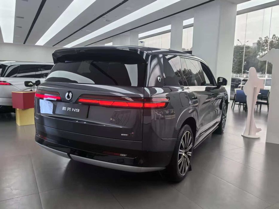 Denza N9 на заказ